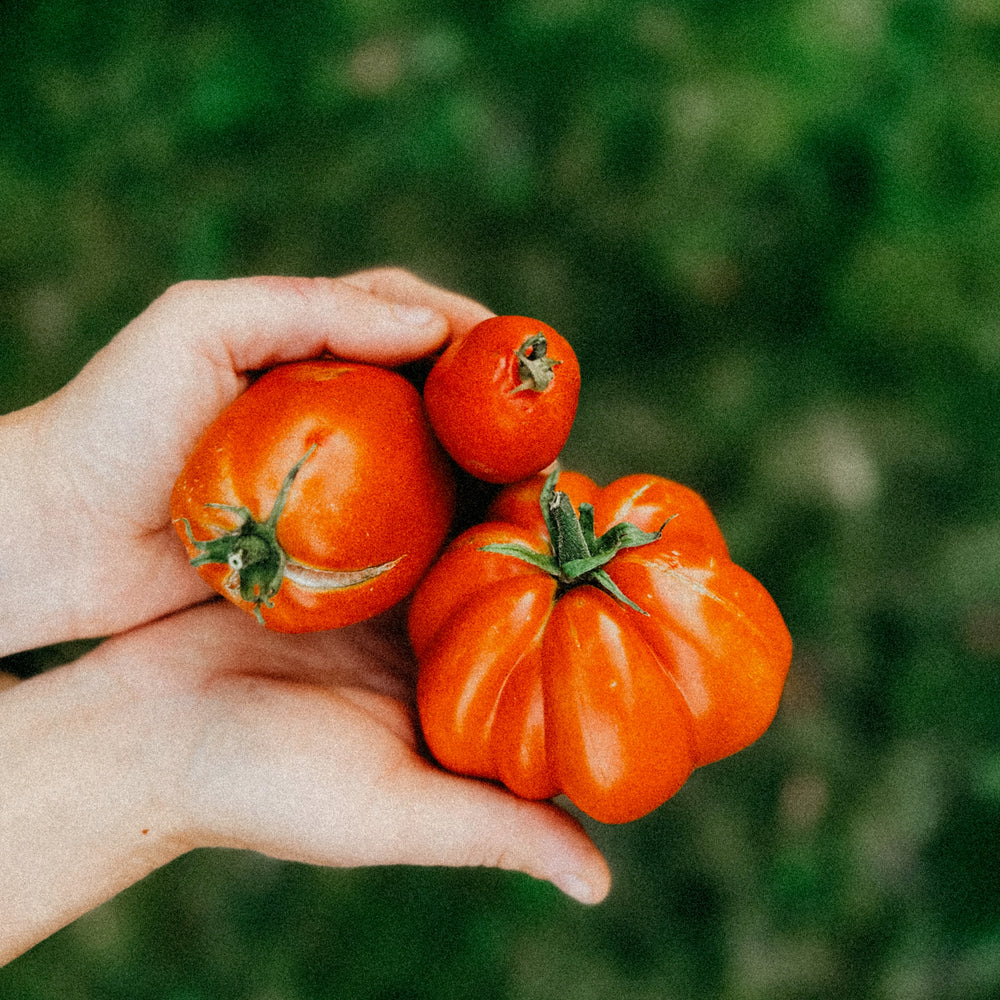 Real Flavour Matters