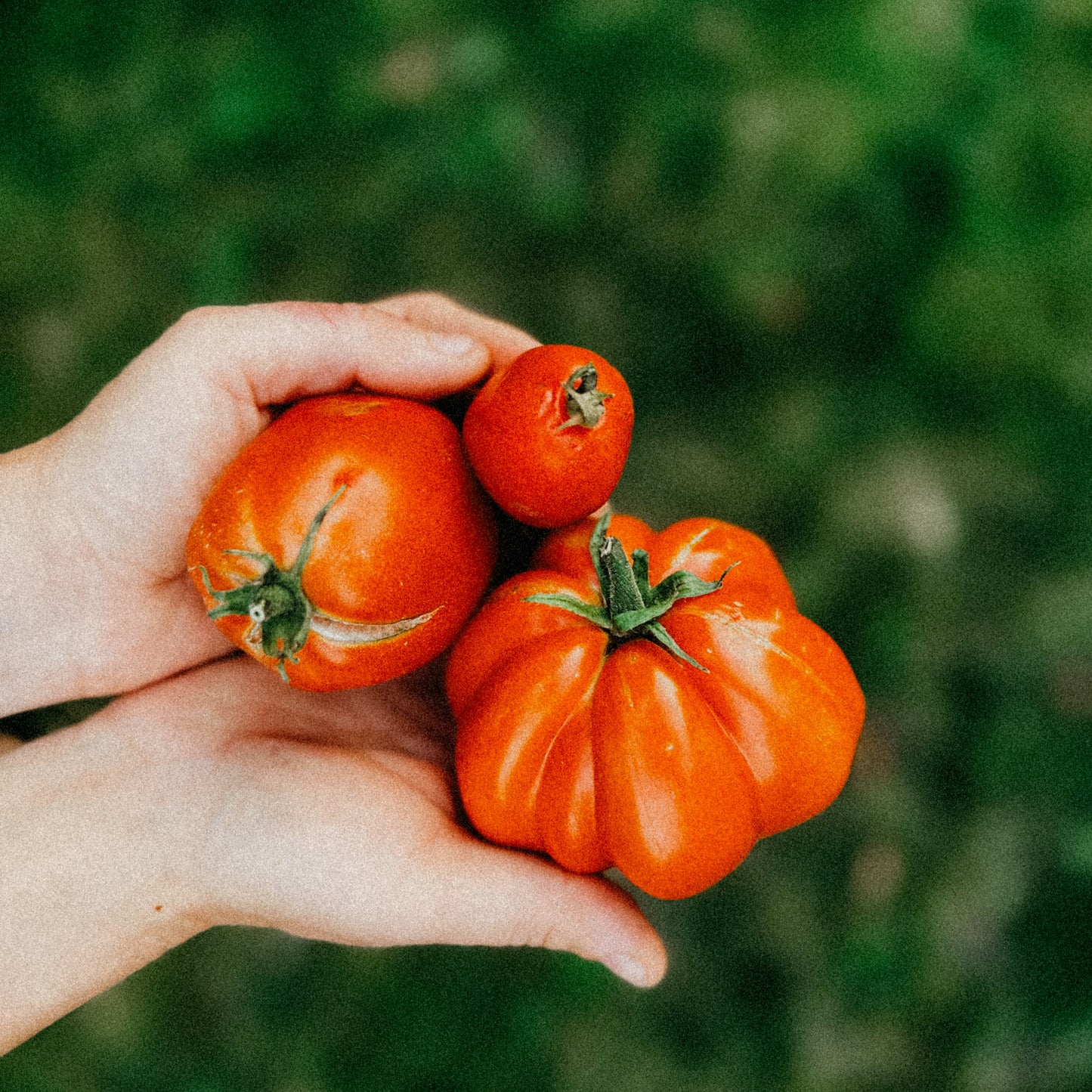 Real Flavour Matters