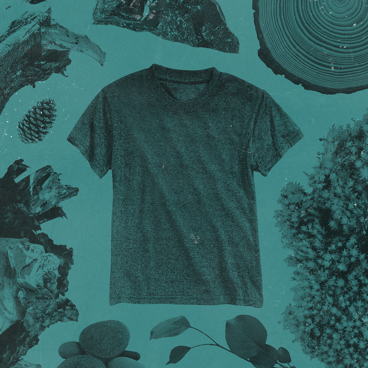 TTNJ-mellow-collection 